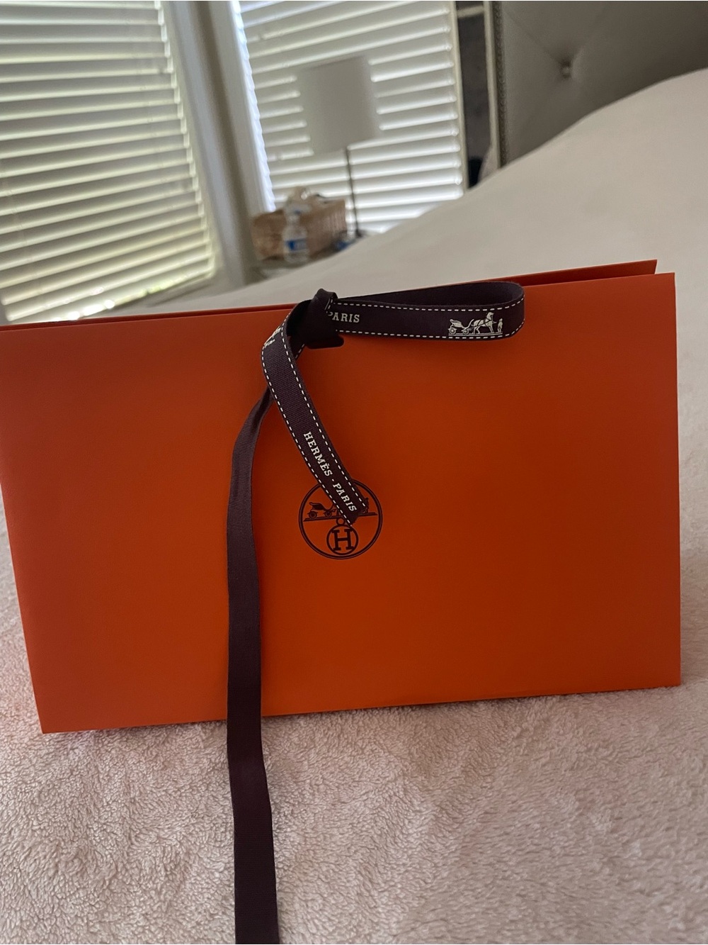 HERMES GIFT Shopping BAG SMALL Hermes authentic
